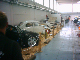 Expo-2009 (18)